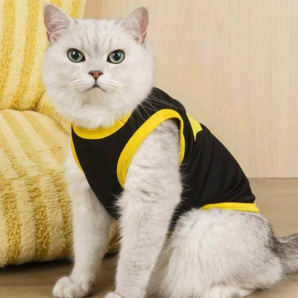 2 New Pet Batman/spiderman tee
